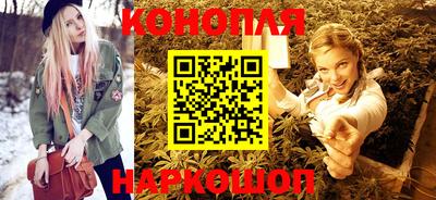 сатива Краснодар
