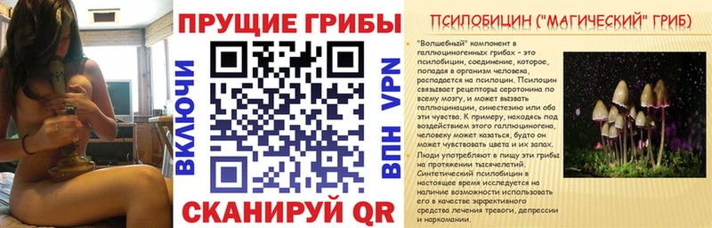 Псилоцибиновые грибы мухоморы omg зеркало Воскресенск