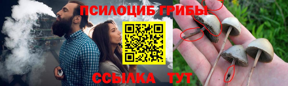 Псилоцибиновые грибы Psilocybine cubensis Воскресенск