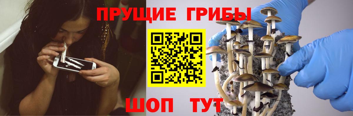 Воскресенск  Галлюциногенные грибы мухоморы  Галлюциногенные грибы мухоморы  Вход с VPN 